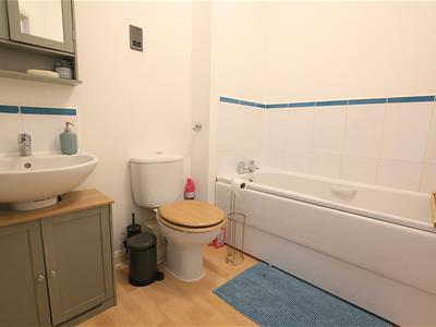Picture 11